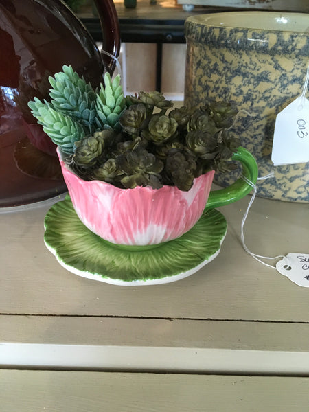 Faux succulent tea cup