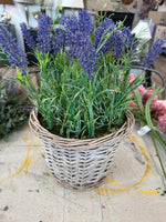 Lavender Grass Pot