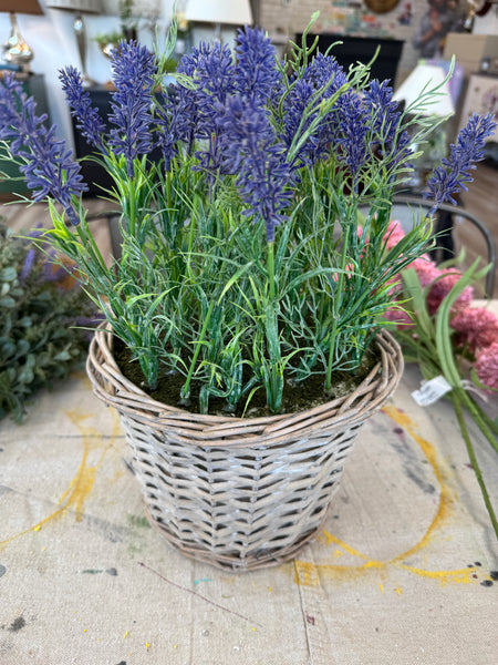 Lavender Grass Pot