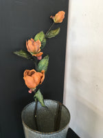 Rose stem
