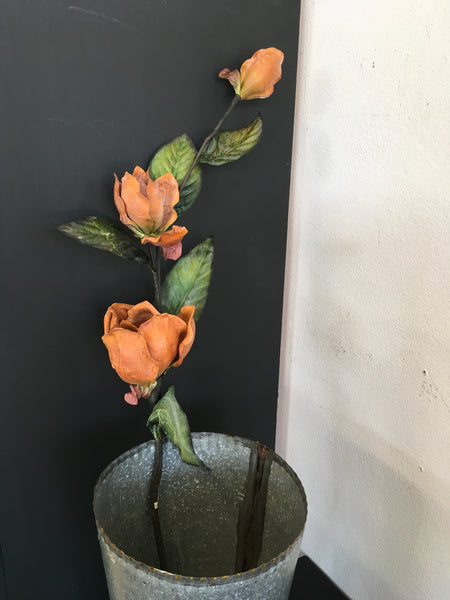 Rose stem
