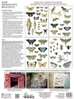 Entomology IOD TRANSFER 12X16 PAD