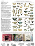 Entomology IOD TRANSFER 12X16 PAD