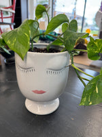 Plants