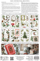 Winter Botanist IOD TRANSFER 8x12 PAD