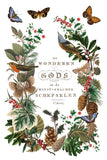 Winter Botanist IOD TRANSFER 8x12 PAD