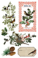 Winter Botanist IOD TRANSFER 8x12 PAD