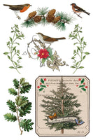 Winter Botanist IOD TRANSFER 8x12 PAD