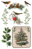 Winter Botanist IOD TRANSFER 8x12 PAD