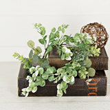 Spring Mix Eucalyptus and Silver Dollar