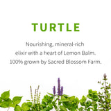 Turtle Herbal Tea