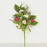 Pink Cream Daisy with Mix Leaves Bush