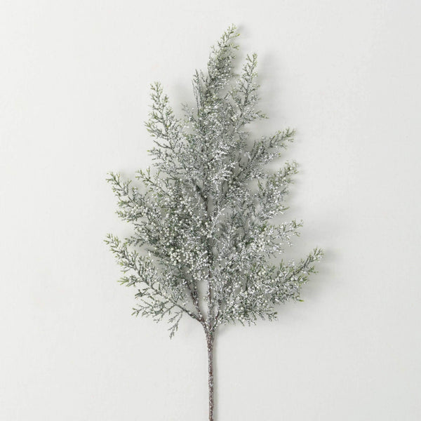 White Bubble Cedar Spray