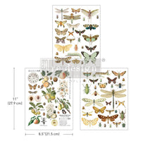 Redesign Prima Middy transfers