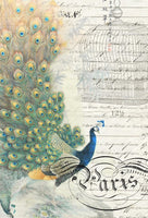 Roycycled Peacock Ephemera Left