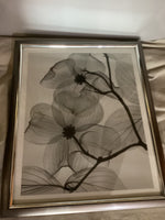 Silver flower picture 2
