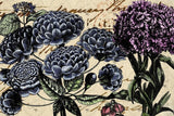 JRV Decoupage Papers!