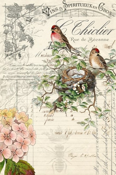 Bird Ephemera Roycycled Treasures Decoupage Paper