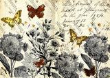 JRV Rice Papers 8.25x11.6