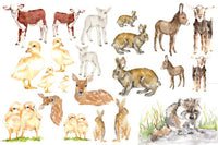 Baby animals Roycyled paper