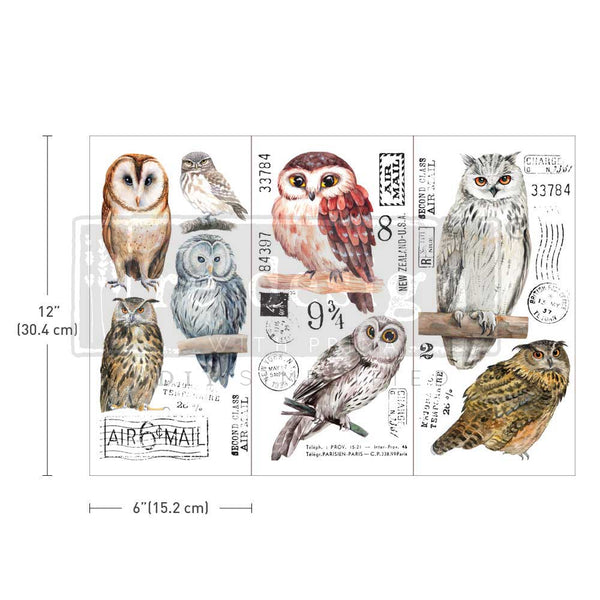 Redesign by Prima SMALL Mini TRANSFERS – Owls