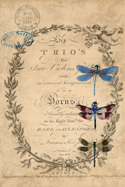 Dragonflies Roycyled paper