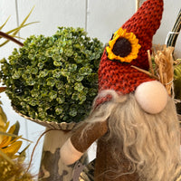 Celery Grass Orbe