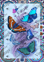 JRV Rice Papers 8.25x11.6