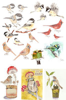 Catalog of birds Roycyled paper